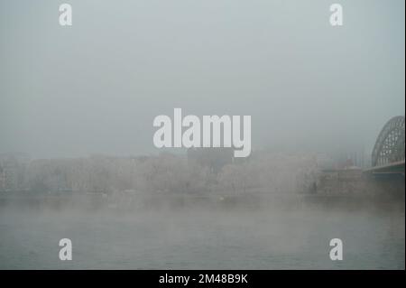 Cologne, Allemagne - 16 décembre 2022: Gelé et brouillard. En ville. Banque D'Images