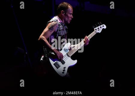 The Meadows - Red Hot Chili Peppers en concert Banque D'Images