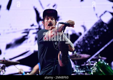 The Meadows - Red Hot Chili Peppers en concert Banque D'Images