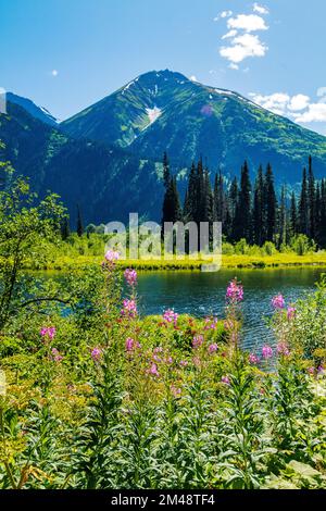 Fleurs sauvages de la mouchetée ; Chamaenerion angustifolium ; et étang ; Oweegee Range ; Steward-Cassiar Highway ; Colombie-Britannique; Canada Banque D'Images