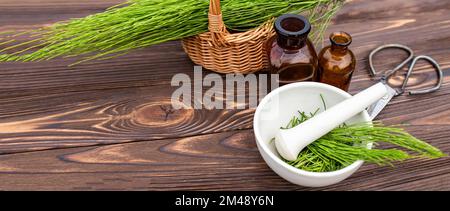 Ail frais dans un mortier de pharmacie avec un pilon sur une table en bois. Collecte d'herbes médicinales pour l'homéopathie et l'herborisme Banque D'Images