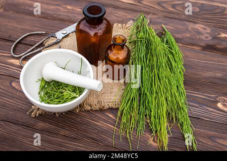 Ail frais dans un mortier de pharmacie avec un pilon sur une table en bois. Collecte d'herbes médicinales pour l'homéopathie et l'herborisme Banque D'Images