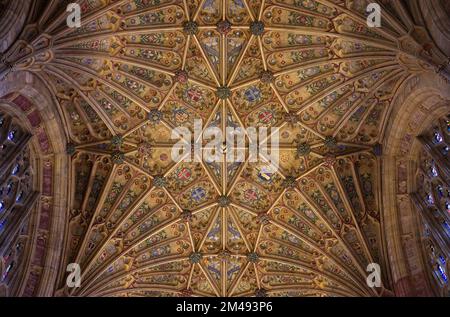 Plafond voûté à l'intérieur de la chancelle de l'abbaye de Sherborne. Banque D'Images
