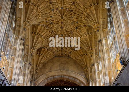 Le ventilateur voûté de l'abbaye de Sherborne se trouve à l'intérieur de la nef. Banque D'Images