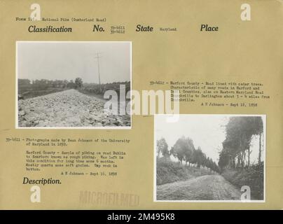 Comté de Harford. Légende originale (39-4611) : photographies faites par Dean Johnson de l'Université du Maryland en 1898. Harford County - exemple de picking sur la route de Dublin à Scarboro connu comme piking grossier. A été laissé dans cet état pendant longtemps quelque six mois. La plupart du quartz un peu de gneiss doux. Tapez sur la roche en bas. 16 septembre 1898. A. N. Johnson - 16 septembre 1898. Légende originale (39-4612): Harford County - route bordée de cèdres. Caractéristique de nombreuses routes dans les comtés de Harford et Cecil, également sur Eastern Maryland Road Churchville à Darlington environ 3 - 4 miles de Churchville. A. N. Johnson - Banque D'Images