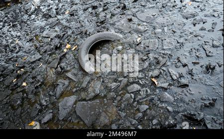 Pneu de véhicule coupé et inutilisable déversé sur une piste forestière dans la forêt de Sherwood, dans le tinghanshire, Banque D'Images