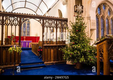 Noël 2022 exposition de fleurs à All Saints Church, East Budgleigh. Banque D'Images