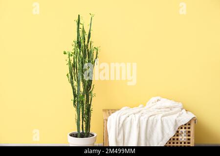 Cactus vert et table en bois avec plaid près du mur jaune Banque D'Images