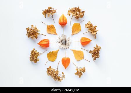 Automne mandala plat, feuilles mortes et fleurs sèches alignés dans le motif rond mandala sur fond blanc Banque D'Images