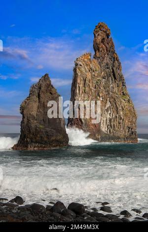 Roche, aiguille de roche, Ilheus da Rib, Ribeira da Janela, dans la lumière du soir, côte nord, île de Madère, Portugal Banque D'Images