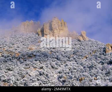 La neige d'hiver couvre Bear Canyon dans les montagnes de Santa Catalina, en Arizona Banque D'Images