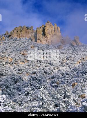 La neige d'hiver couvre Bear Canyon dans les montagnes de Santa Catalina, en Arizona Banque D'Images