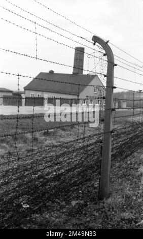 La photo a été prise entre 1965 et 1971 et montre une impression photographique de la vie quotidienne dans cette période de la RDA. forêt de hêtre Banque D'Images