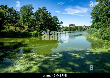 New York, NY - Etats-Unis - 20 juillet 2018 vue panoramique sur Harlem Meer, un lac artificiel à l'angle nord-est du parc central de la ville de New York. A p Banque D'Images