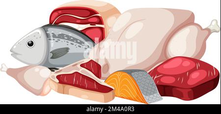 Illustration d'un groupe de différentes viandes fraîches Illustration de Vecteur