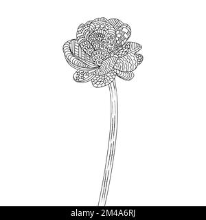 fond décoratif de fleurs zentangle pour adultes page de coloriage de dessins faciles de style doodle design Illustration de Vecteur