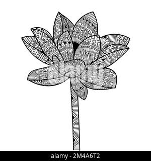 Fleurs zentangle art croquis faciles avec motif décoratif de contour de doodle pour les pages de coloriage pour adultes Illustration de Vecteur