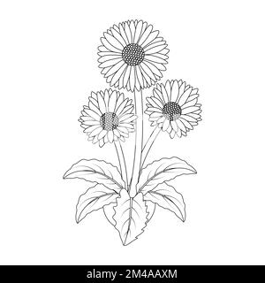 page de coloriage de dessin de fleurs de marguerite pour enfants avec motif de dessin de ligne crayon dans un graphique vectoriel détaillé Illustration de Vecteur