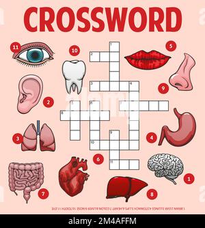 Parties et organes du corps humain, feuille de travail de grille de mots croisés, jeu de quiz de recherche de mots vectoriels. Mots croisés pour deviner les mots de l'anatomie médicale, des organes du corps, des parties et des os, du coeur et des poumons, des yeux ou des lèvres et de la dent Illustration de Vecteur