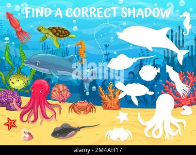 Trouvez un dessin animé d'ombre correct sous-marin paysage et animaux. Enfants match avec dauphin, tortue, raies, pieuvre et crabe. Coquillages, poissons-souffleurs, silhouettes de calmar ou d'étoiles de mer dans l'eau de l'océan Illustration de Vecteur