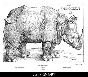 Rhinocéros indiens, rhinocéros d'Albrecht Dürer, après un spécimen apporté à la ménagerie au Palais Ribeira à Lisbonne, Portugal, en 1515., Rhinoceros unicornis, Dürer, Albrecht (1471-1528) (Holzschneider) (, ), Panzernashorn von Albrecht Dürer, nach einem 1515 in die Menagerie im Ribeira-Palast in Lissabon, Portugal, gebrachten Exemplar, Rhinocéros indien, Rhinocéros cuirassé d'Albreira-Palast à Lissabon, Portugal, 1515 Banque D'Images