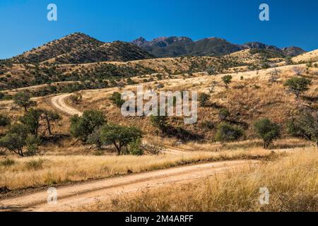 Montagnes de Santa Rita, sur Ophir Gulch, vue depuis la route FS 163, forêt nationale de Coronado, Arizona, États-Unis Banque D'Images