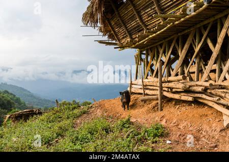 Le village Kombo de l'Adi Gallo-Tribe est pittoresque dans les collines de l'Arunachal Pradesh Banque D'Images