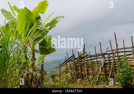 Le village Kombo de l'Adi Gallo-Tribe est pittoresque dans les collines de l'Arunachal Pradesh Banque D'Images