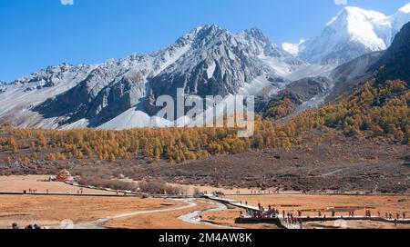 Pâturage et montagne dans la réserve naturelle de Yading Banque D'Images