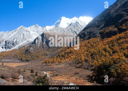 Pâturage et montagne dans la réserve naturelle de Yading Banque D'Images