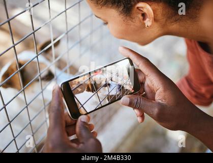 Abri d'animaux, téléphone et photo de chien dans la cage avec l'homme et la femme bénévoles faisant la charité pour l'animal sans abri pour signaler l'abus de chiot. Couple avec un animal triste Banque D'Images