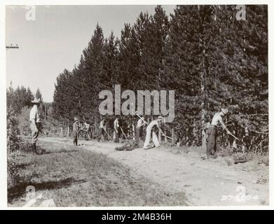 Éclaircie - Wyoming. Photographies relatives aux forêts nationales, aux pratiques de gestion des ressources, au personnel et à l'histoire culturelle et économique Banque D'Images