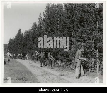 Éclaircie - Wyoming. Photographies relatives aux forêts nationales, aux pratiques de gestion des ressources, au personnel et à l'histoire culturelle et économique Banque D'Images