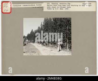 Éclaircie - Wyoming. Photographies relatives aux forêts nationales, aux pratiques de gestion des ressources, au personnel et à l'histoire culturelle et économique Banque D'Images