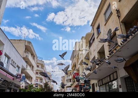 Pigeons volant dans une rue marocaine Banque D'Images