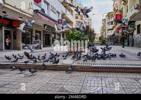 Pigeons dans une rue marocaine Banque D'Images