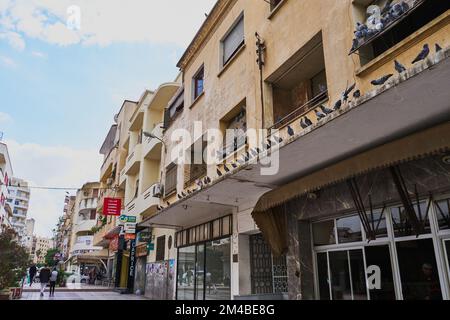 Pigeons sans abri dans une rue marocaine Banque D'Images