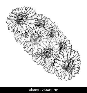 belles fleurs de gerbera marguerite coloriage page dessin détaillé en  vecteur graphique de l'art de ligne Image Vectorielle Stock - Alamy