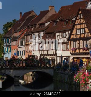Fin août, soleil au milieu des fleurs colorées décorant l'historique Quai de la Poissonnerie ou le Fisherman's Wharf, qui fait partie du pittoresque quartier de la petite Venise de Colmar en Alsace, Grand est, France. Les maisons médiévales et de la Renaissance ont ici des charpentes en bois tirées des traditions françaises et allemandes. Banque D'Images