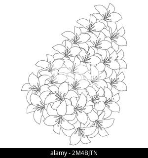 fleur de lily et fleur de lilium coloriage page contour décoratif art ligne vector graphiques Illustration de Vecteur