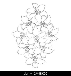 fleur de lily et fleur de lilium coloriage page contour décoratif art ligne vector graphiques Illustration de Vecteur