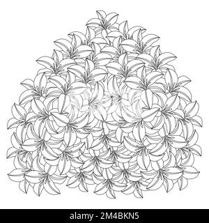 fleur de lily et fleur de lilium coloriage page contour décoratif art ligne vector graphiques Illustration de Vecteur