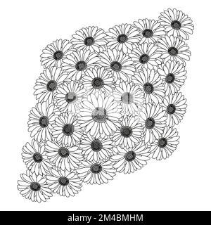 motif camomille et fleur en forme de page avec motif vectoriel de dessin au trait détaillé Illustration de Vecteur