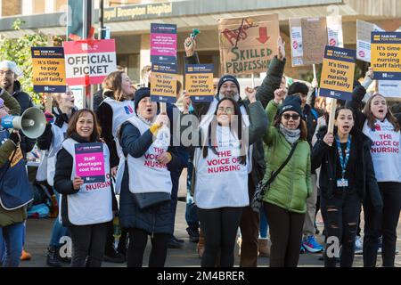 Londres, Royaume-Uni. 20th décembre 2022. Les infirmières se joignent à la ligne de piquetage à l'extérieur de l'hôpital Royal Brompton à Londres, le deuxième jour de grève sur la paie et la sécurité des patients appelé par le Collège royal des soins infirmiers. Jusqu'à 100 000 infirmières réparties dans 70 trusts et organismes de santé en Angleterre, Le pays de Galles et l'Irlande du Nord participent à l'action industrielle qui appelle à une augmentation de salaire de 19% pour surmonter des années de réductions de salaire en termes réels et pour protéger la sécurité des patients en permettant au NHS de recruter et de retenir des infirmières dans un contexte de pénurie critique de personnel. Crédit: Wiktor Szymanowicz/Alamy Live News Banque D'Images