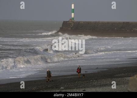 Aberystwyth pays de Galles Royaume-Uni météo 20th décembre 2022, boursoufrant avec des douches sur la côte ouest, les gens marchent les chiens lors d'un doux jour d'hiver un arc-en-ciel apparaît, Credit: mike davies/Alay Live News Banque D'Images