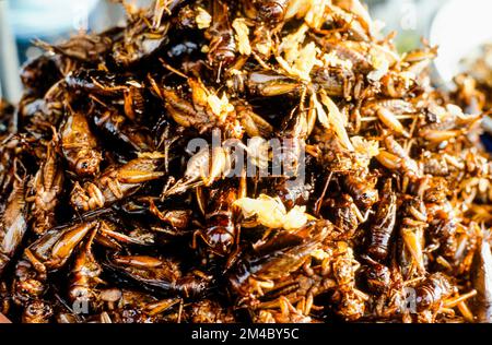 Les insectes frits sont delicassies pour personnes à Pnom Penh Banque D'Images