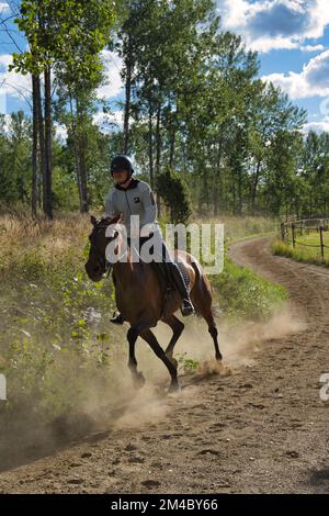 Lady forme un cheval assis dans un soyeux sur une piste. Photo de haute qualité Banque D'Images