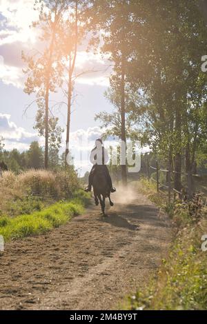 Lady forme un cheval assis dans un soyeux sur une piste. Photo de haute qualité Banque D'Images