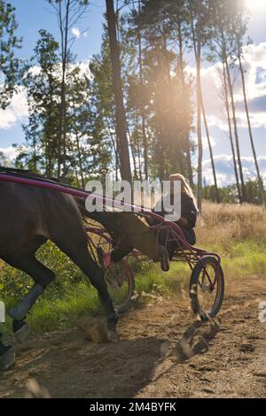 Lady forme un cheval assis dans un soyeux sur une piste. Photo de haute qualité Banque D'Images