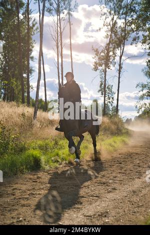 Lady forme un cheval assis dans un soyeux sur une piste. Photo de haute qualité Banque D'Images